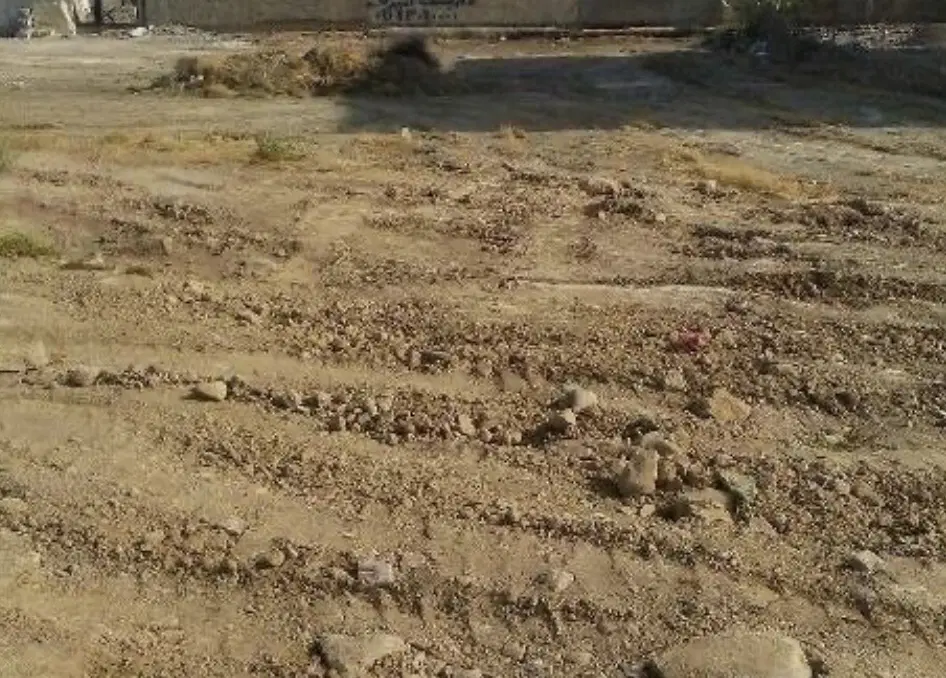 زمین