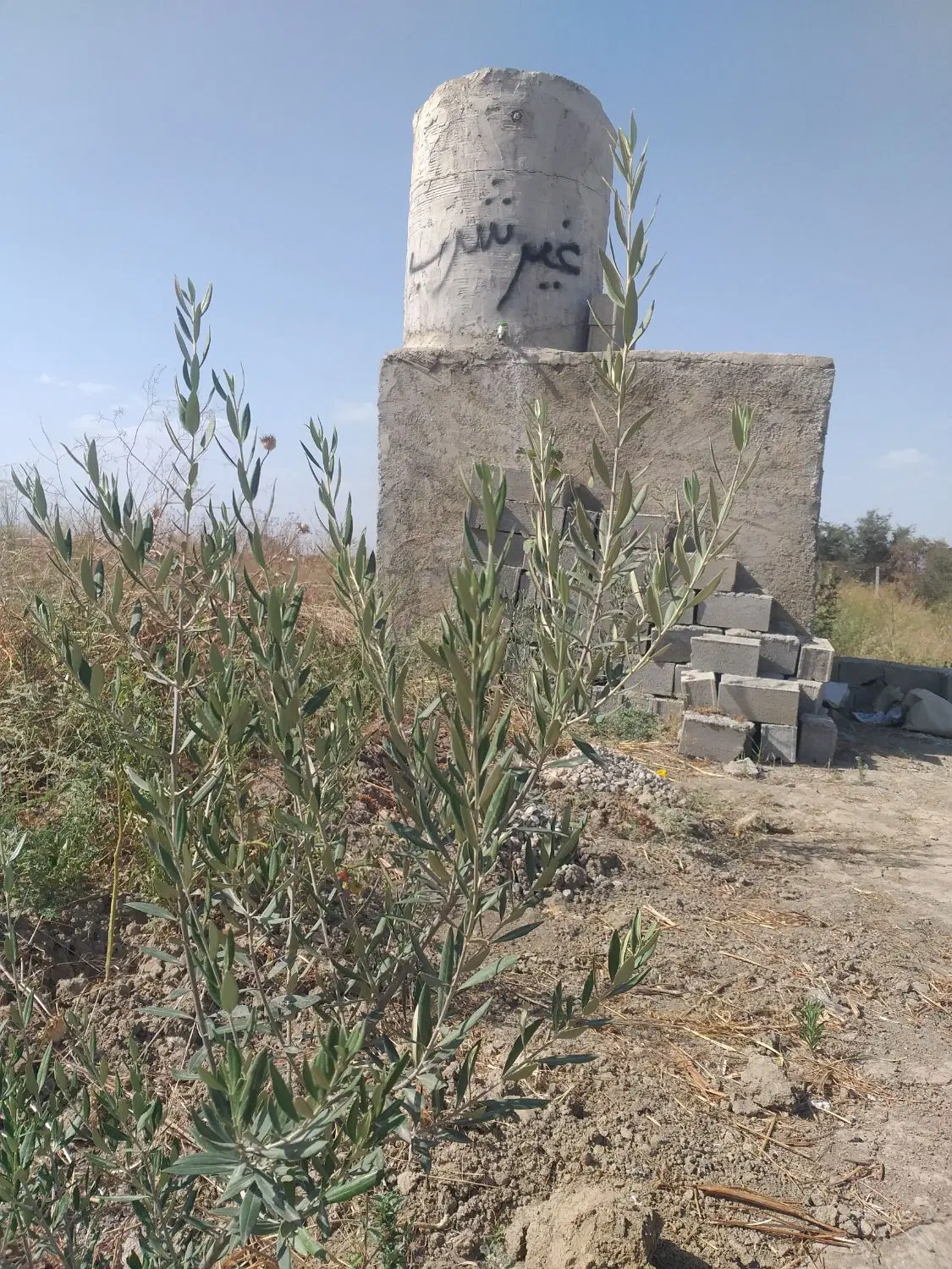 باغچه فروشی