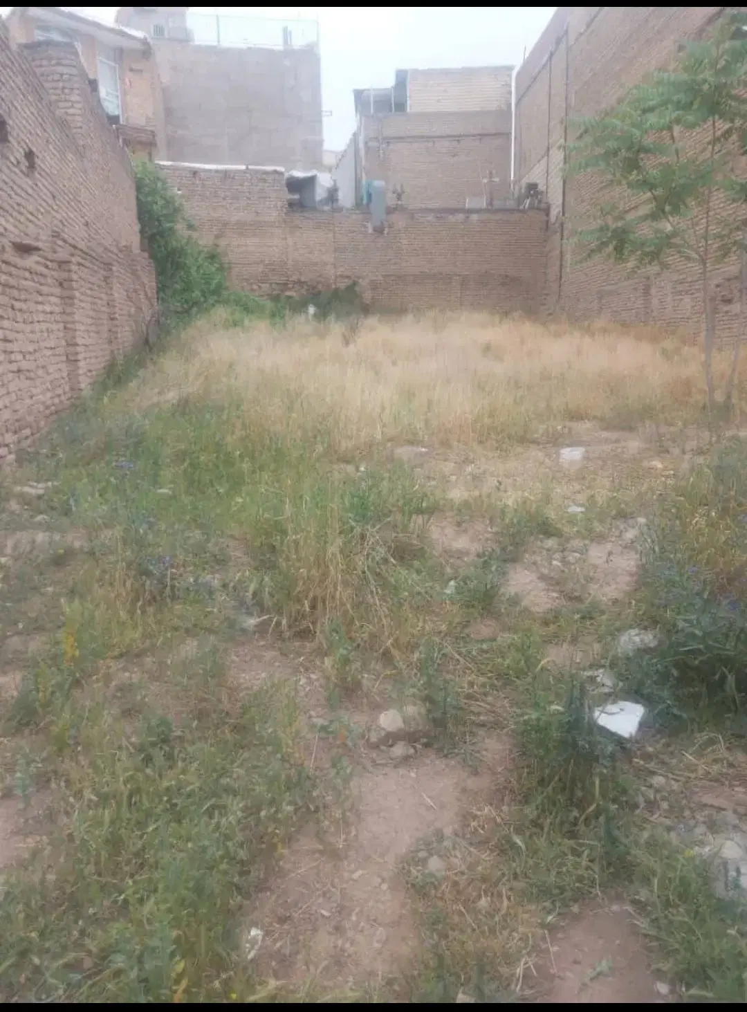 1200متر زمین