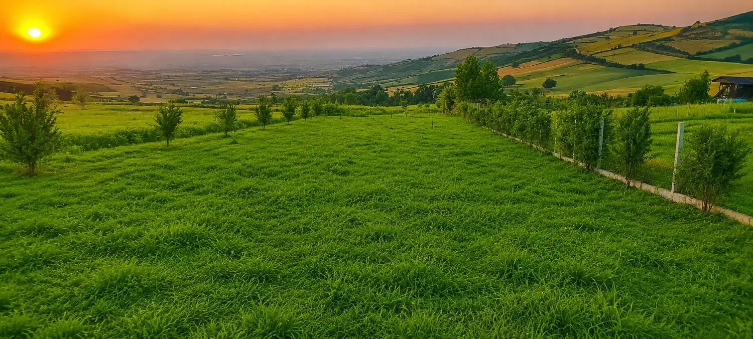 زمین روستای نوچمن