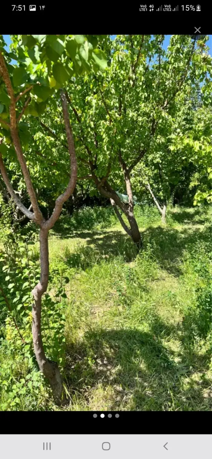 باغ