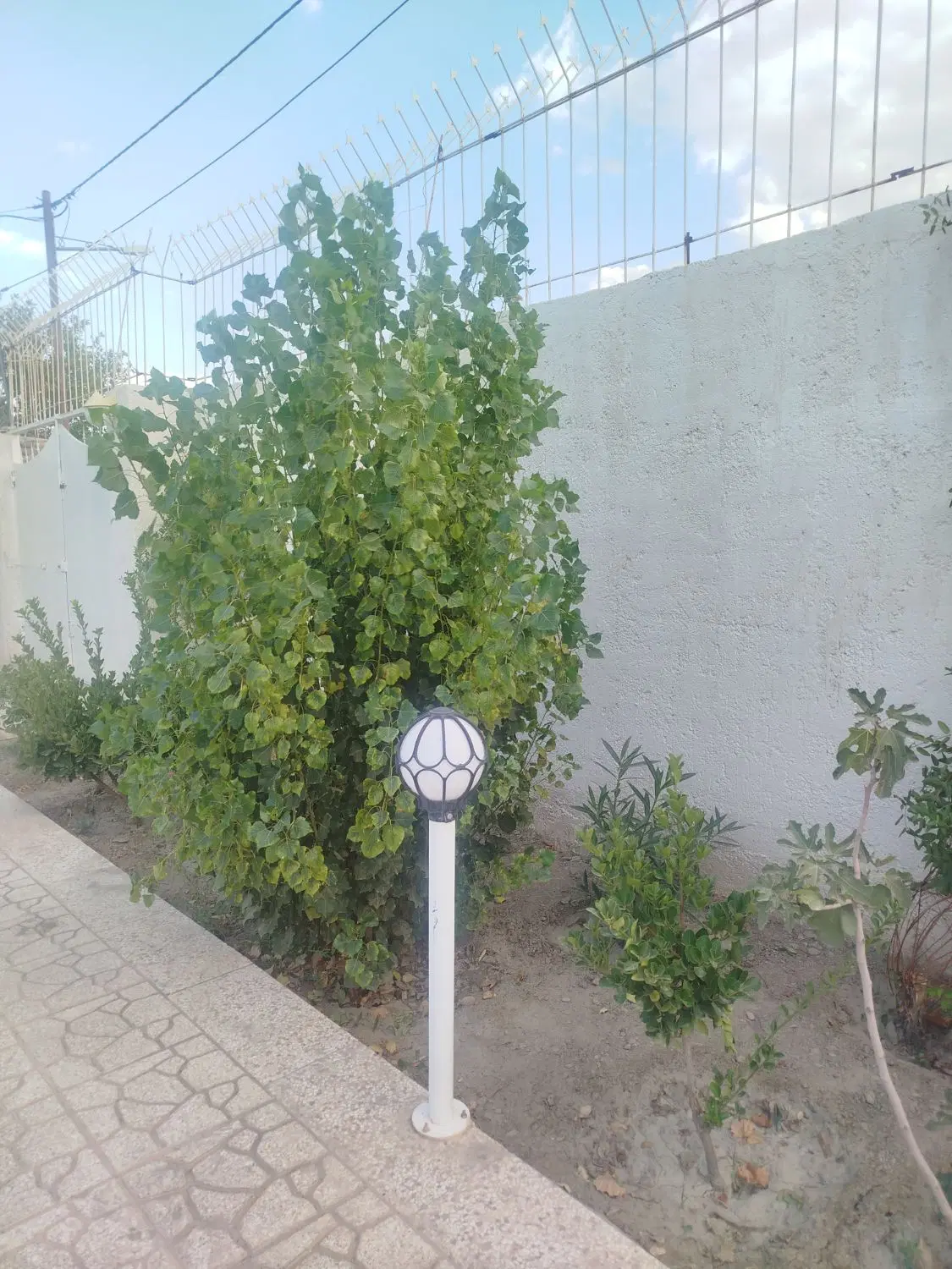 ویلایی پرستو