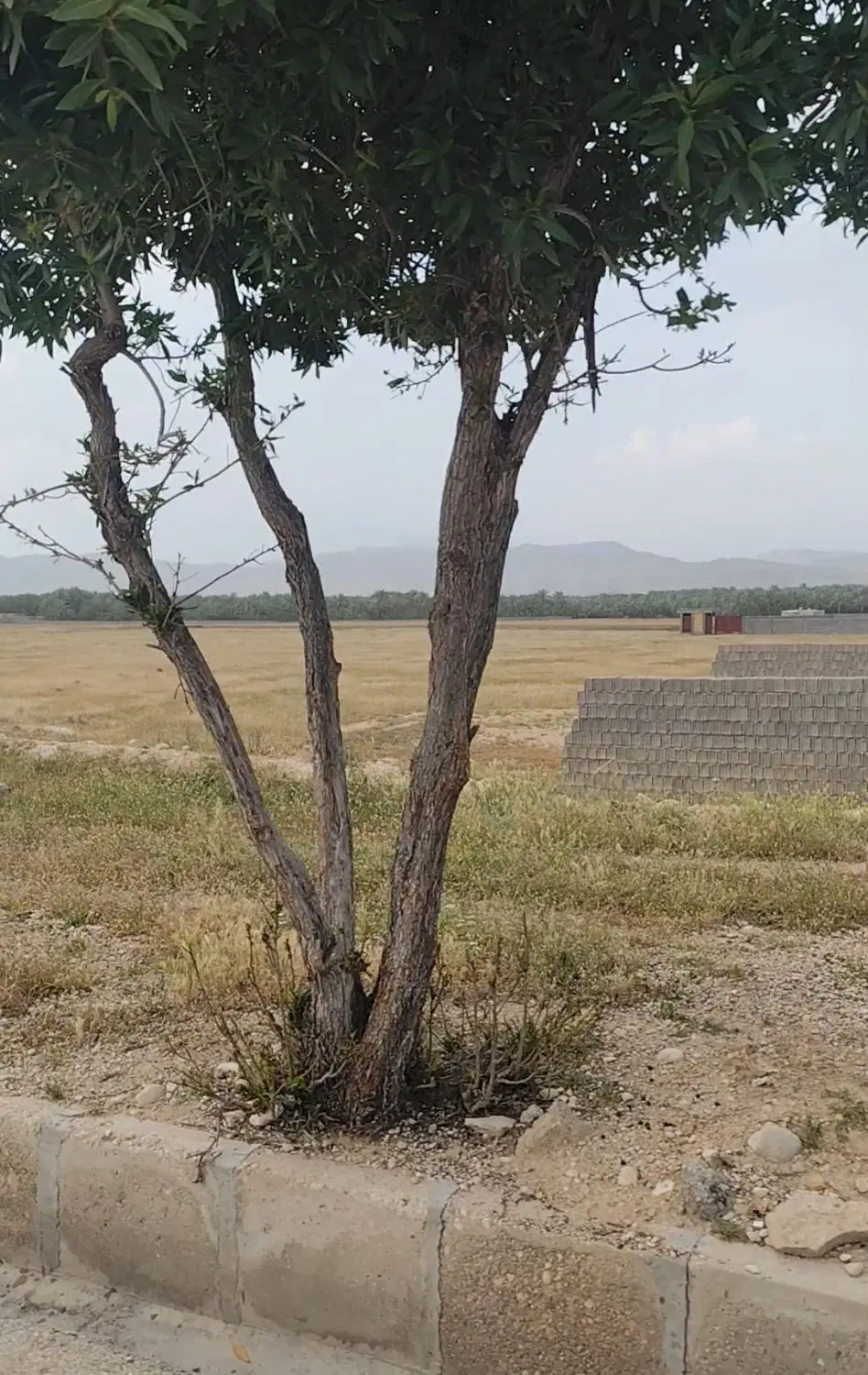 زمین مسکونی ۱۲۶ متر