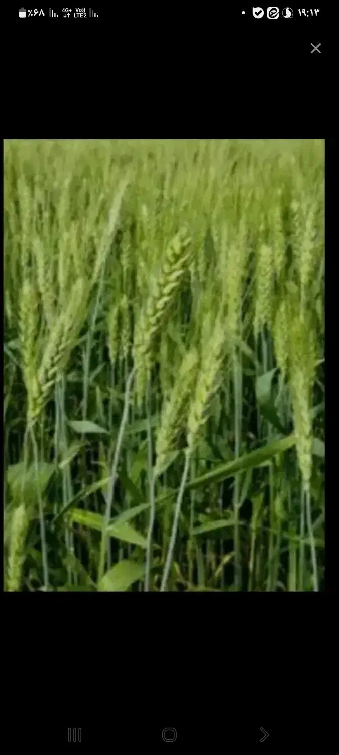 فروش زمین