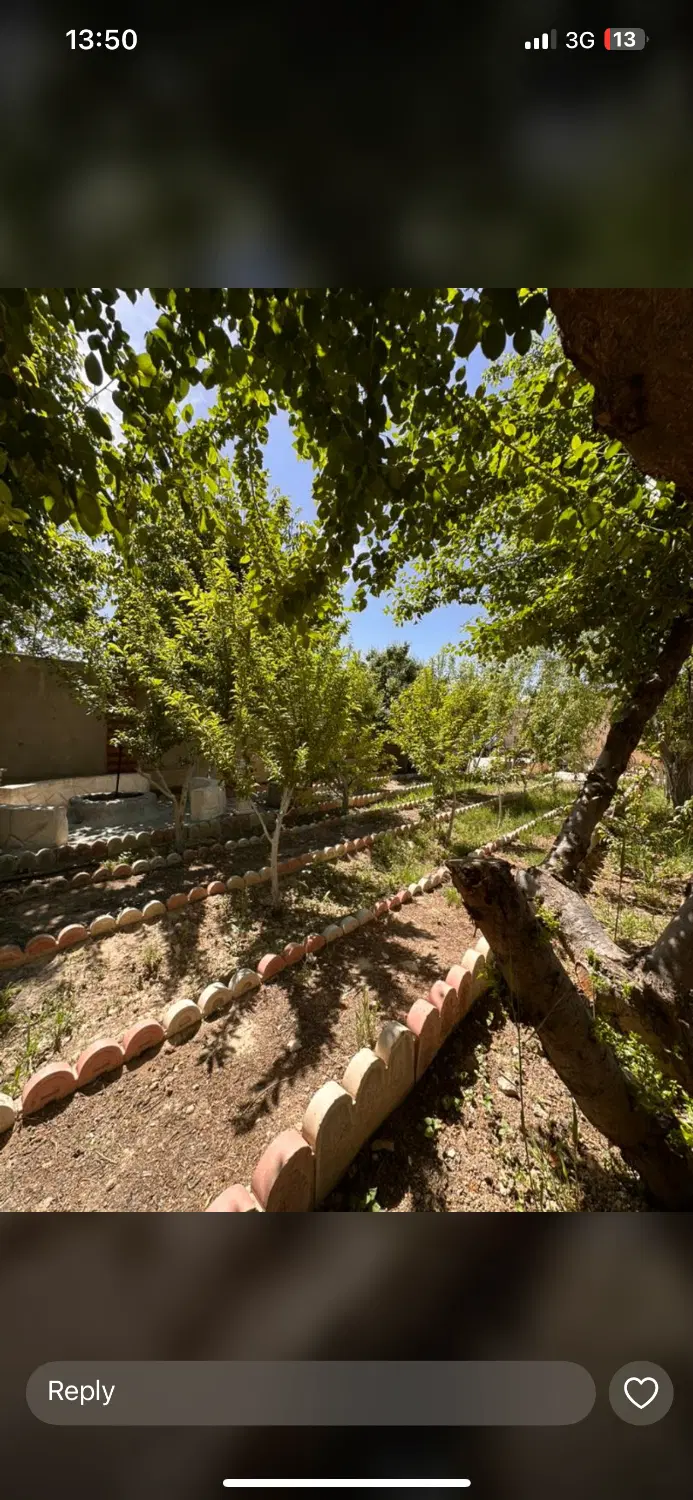 افشاریه