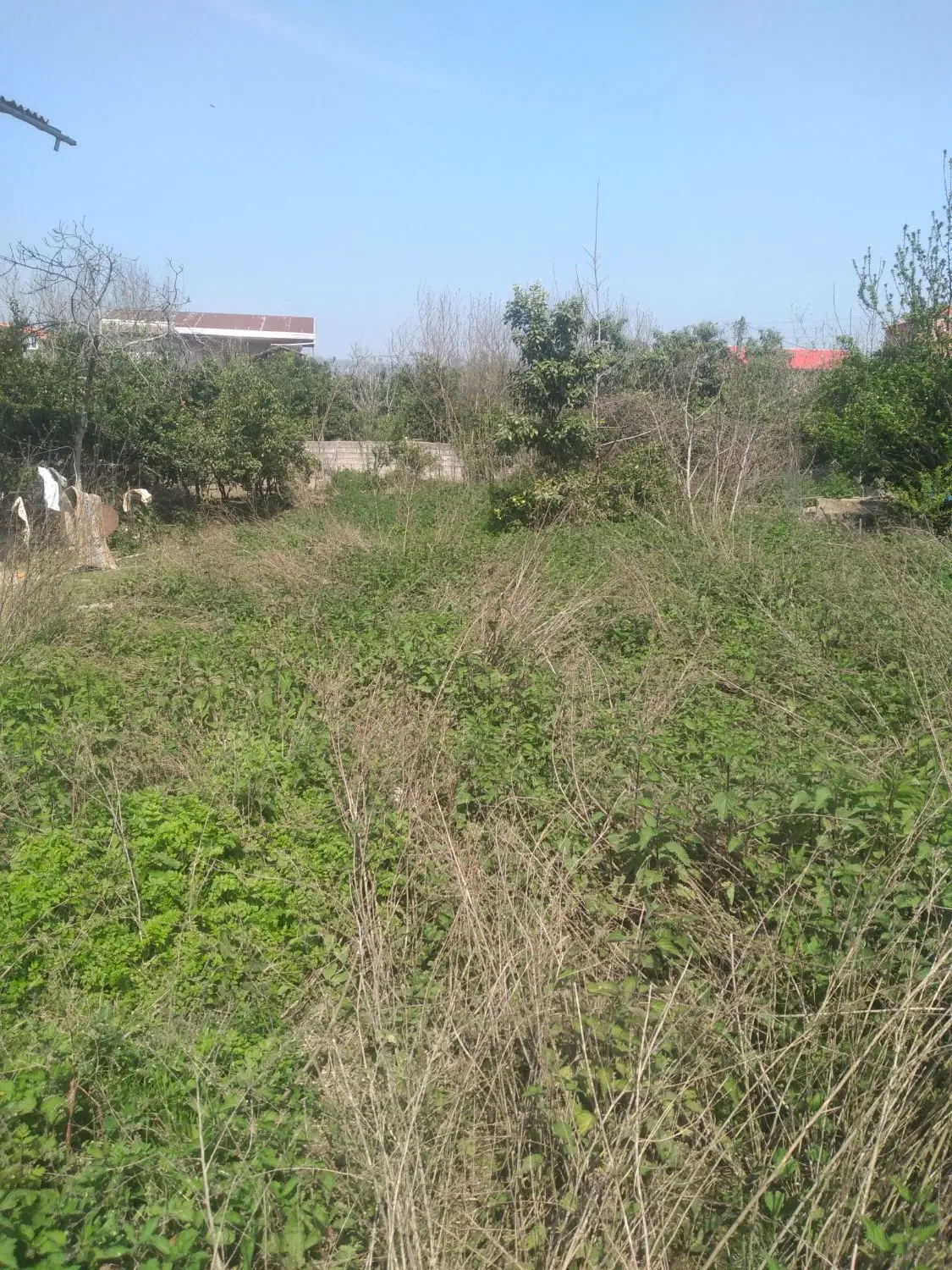زمین داخل بافت