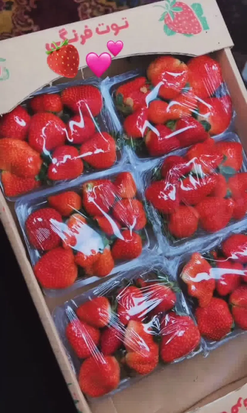 ی قطعه زمین مسکونی با پروانه ساخت و شفته