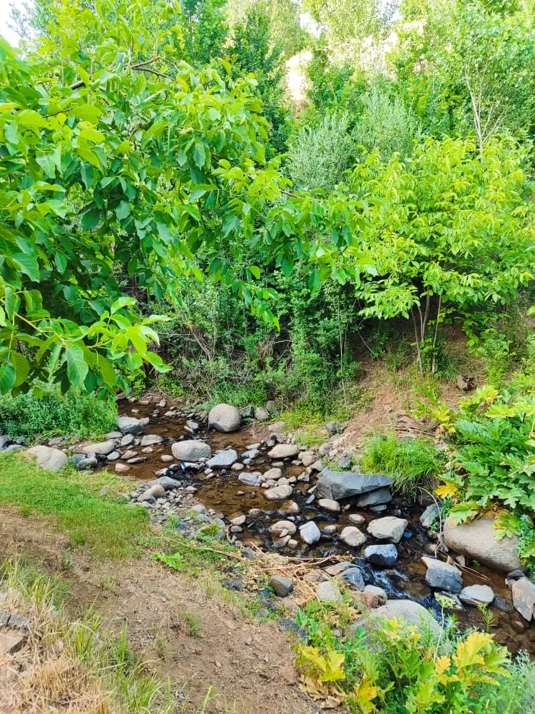زمین با کاربری تجاری درمانی مسکونی