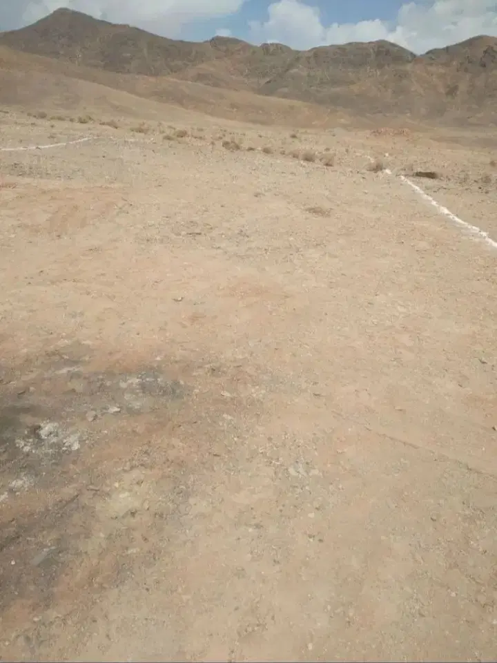 زمین ۲۵۰متر پشت شهرک گاوداران