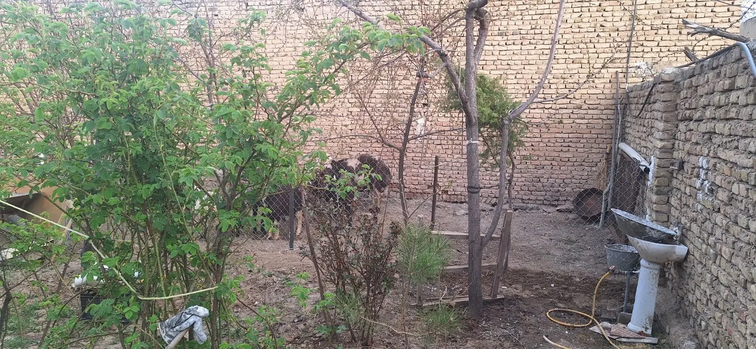 زمین زرجان فسا