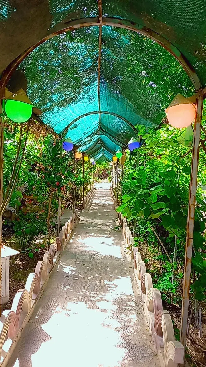 باغ زیبا