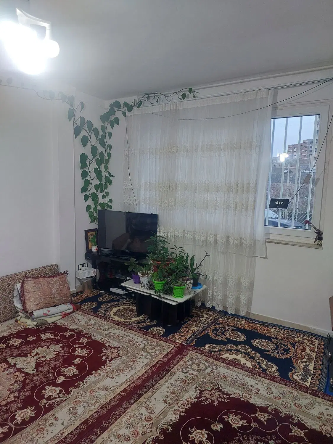یکخوابه بهاران