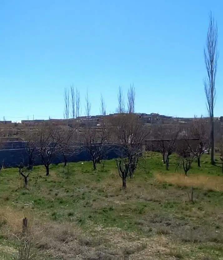 زمین باغی.یوسفخان
