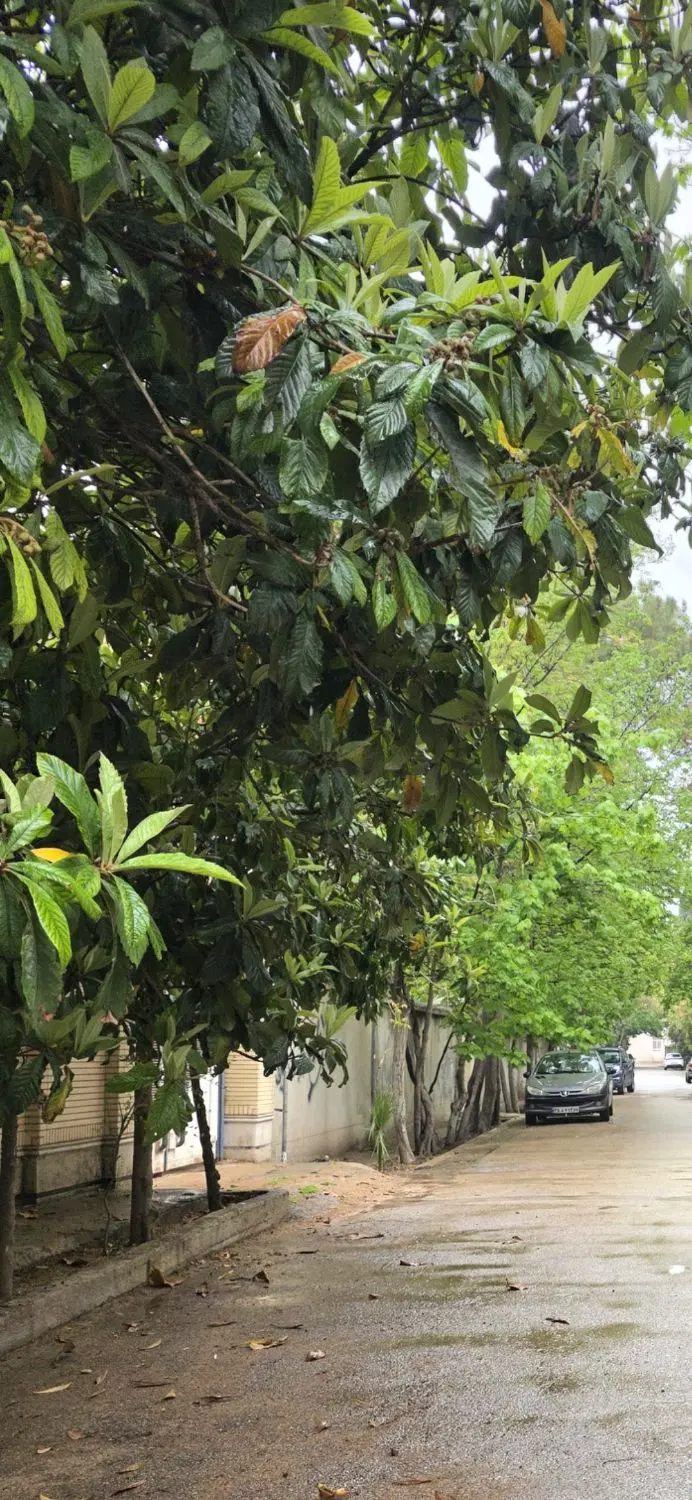 فروش آپارتمان تک واحدی سه خواب