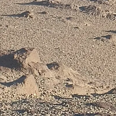 زمین سرآسیاب