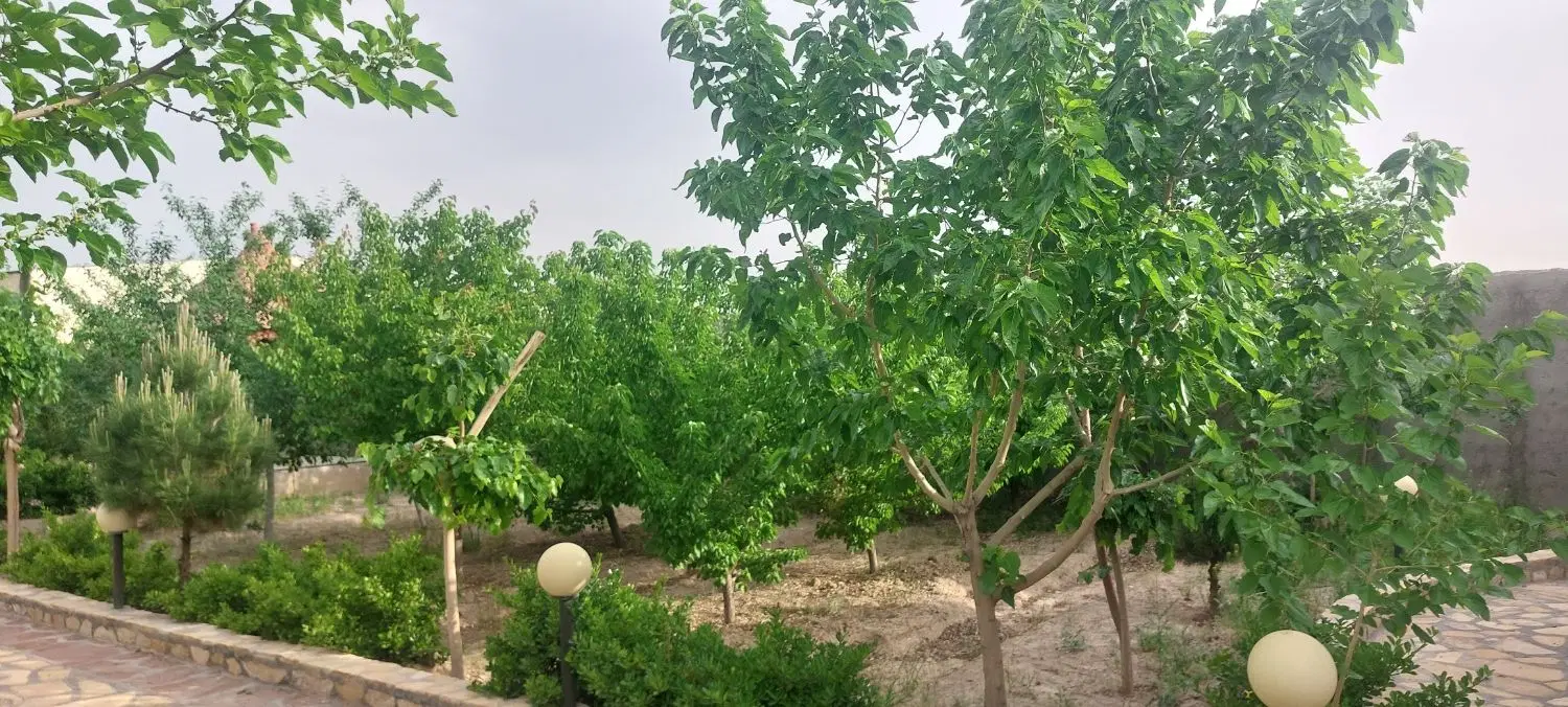 باغ ویلا