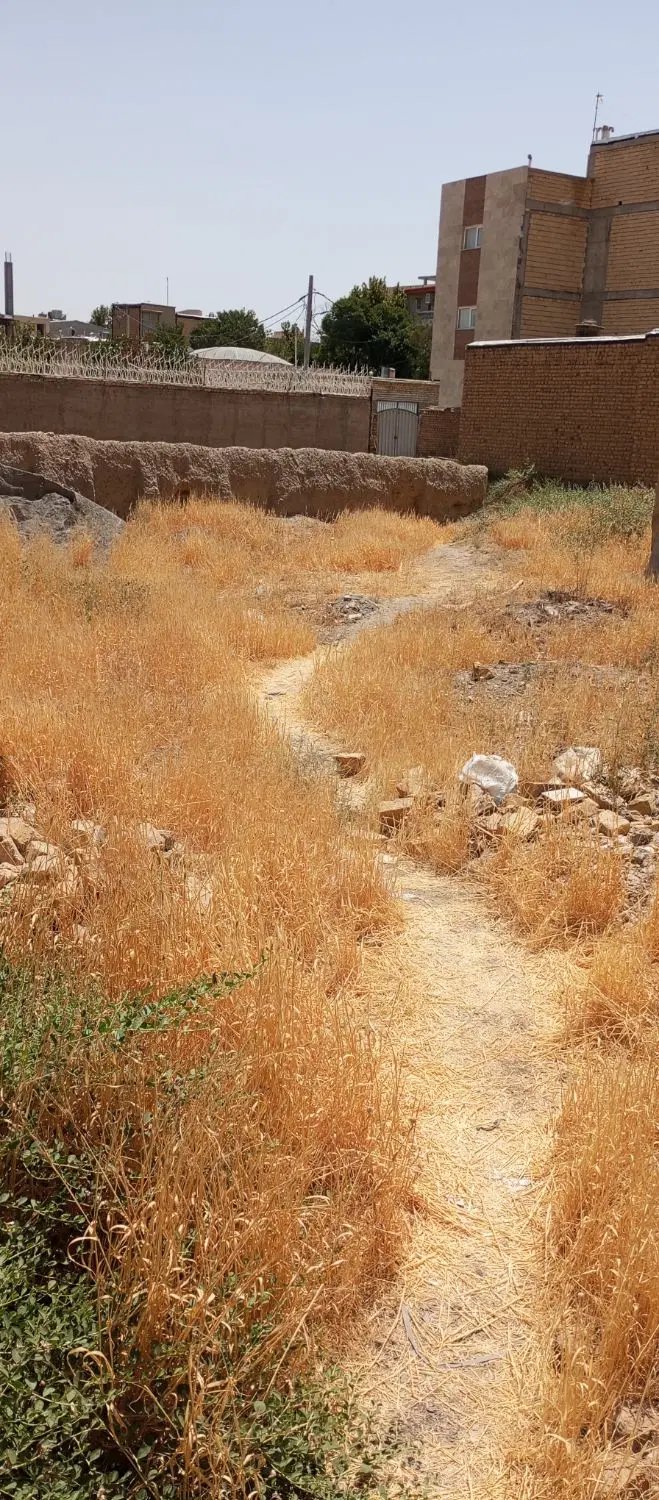 زمین ۳۱۴ متر کوچه مسجد حاجی