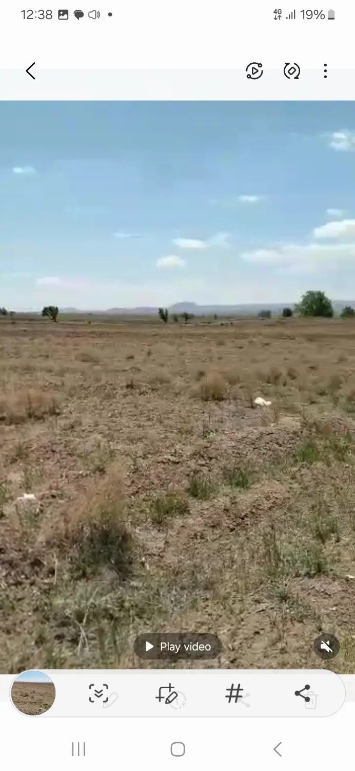 زمین کشاورزی ۳۶۰۰ متری واقع در یحیی آباد تاکستان