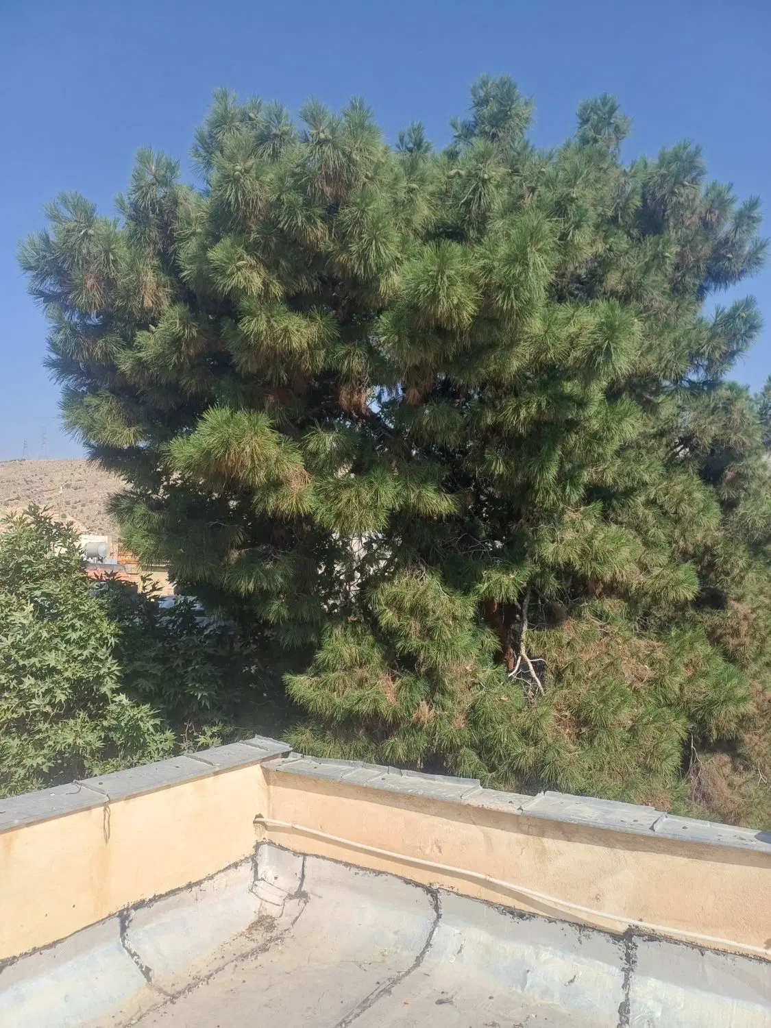 400 متر ویلایی قابل سکونت قصردشت