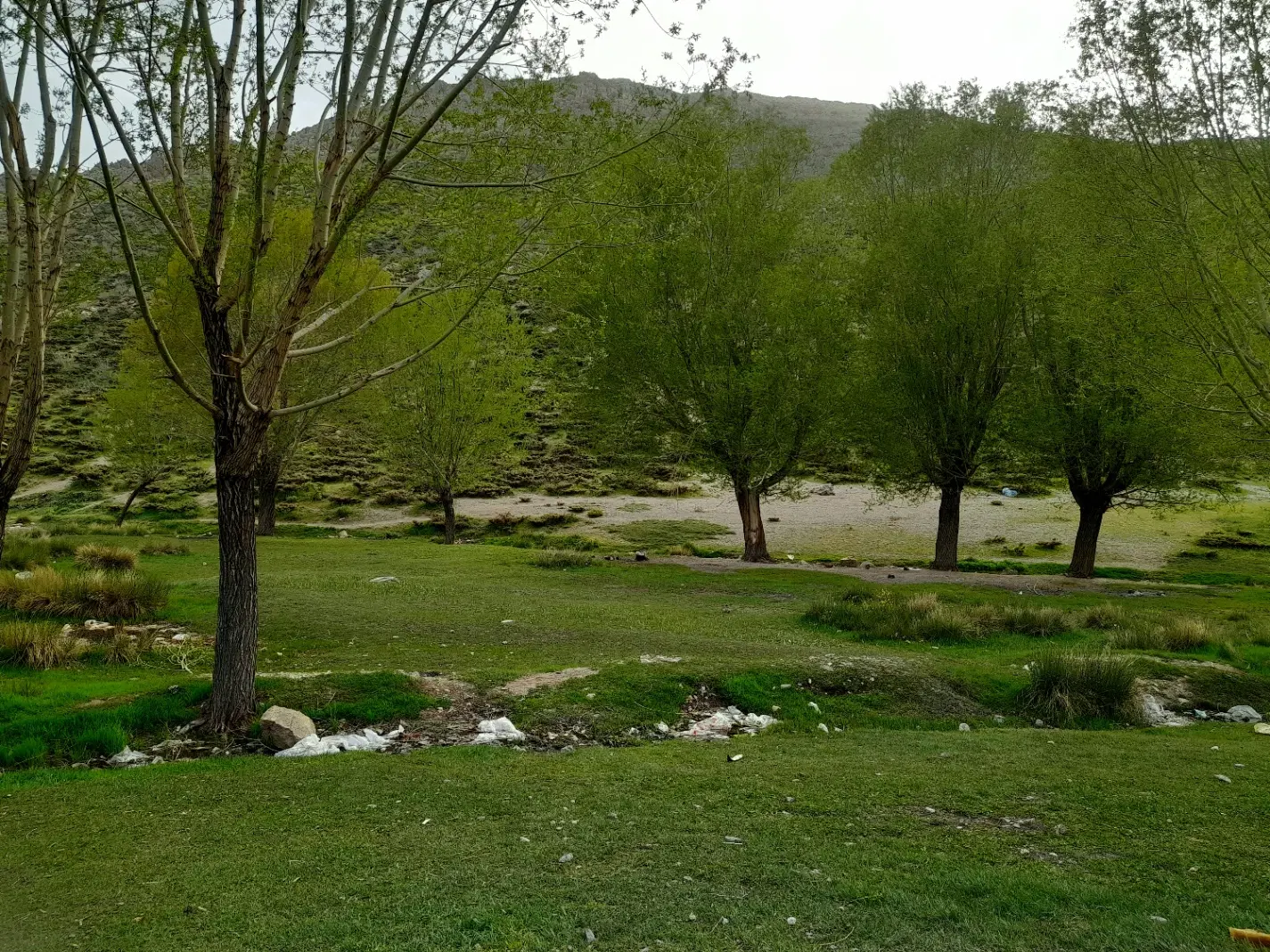زمین باغی، مسکونی،تجاری آینده دار
