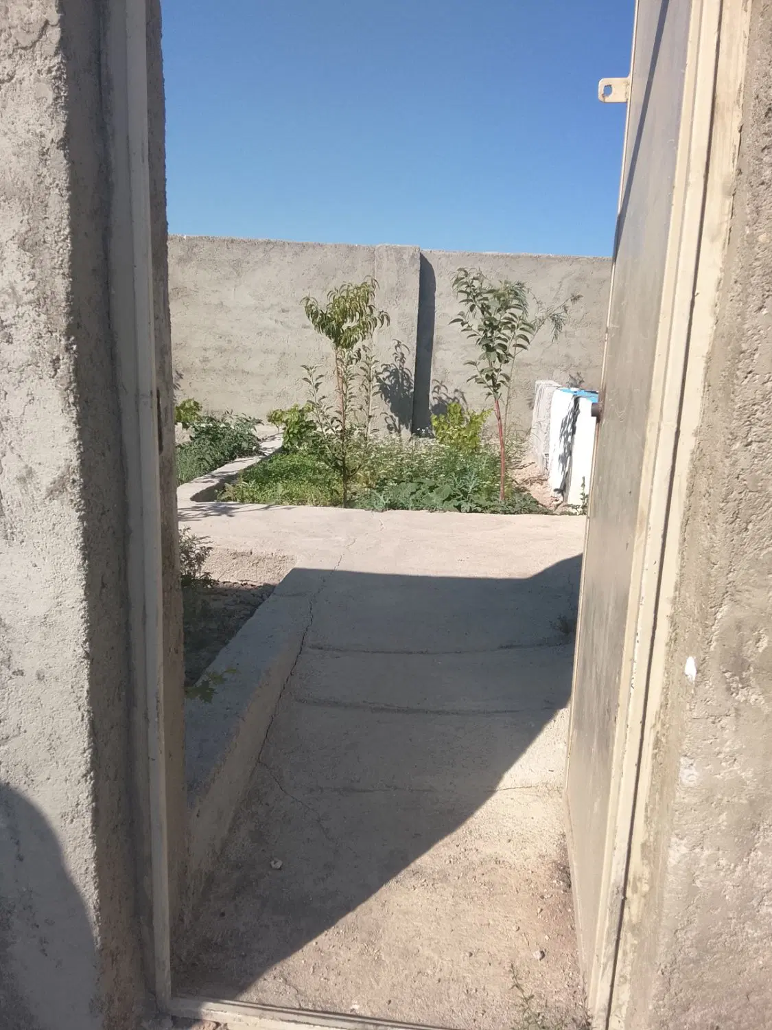 باغ