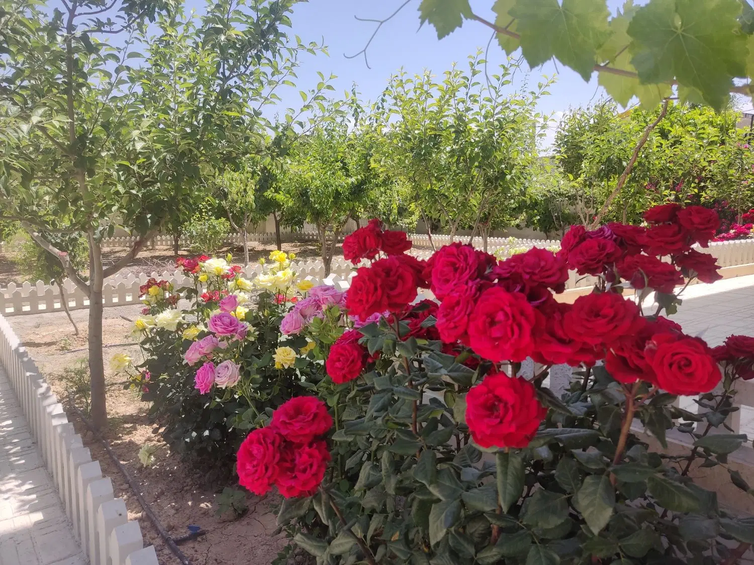 ویلا باغ طرمزد