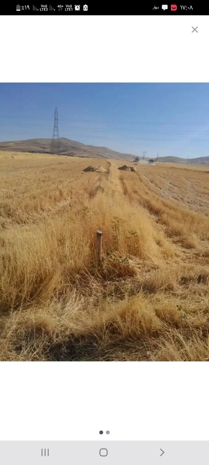 زمین دیم جهت کشت گندم و جو اجاره میکنم