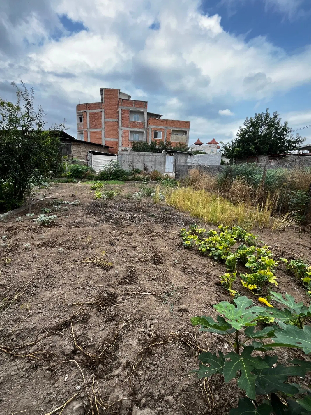فروش زمین دیوکتی
