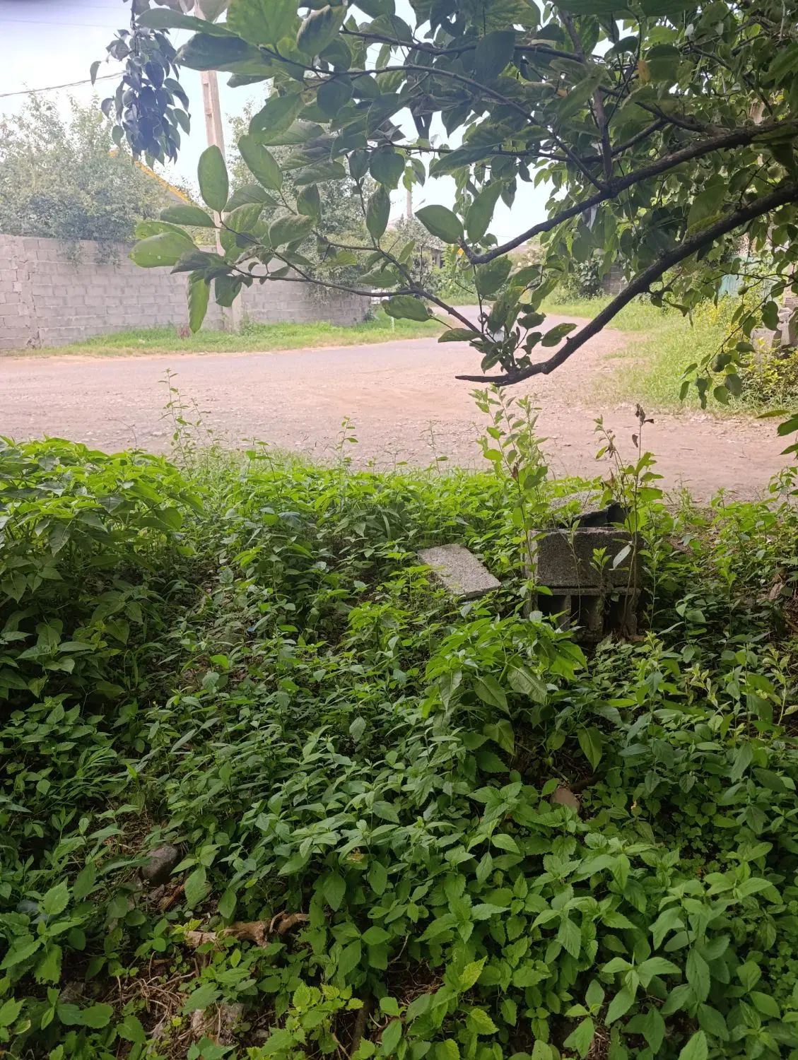 زمین مسکونی روستایی سند تک برگ ۳۲۳متر