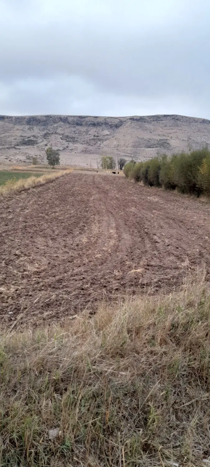 زمین زراعی وباغ شام‌اسبی