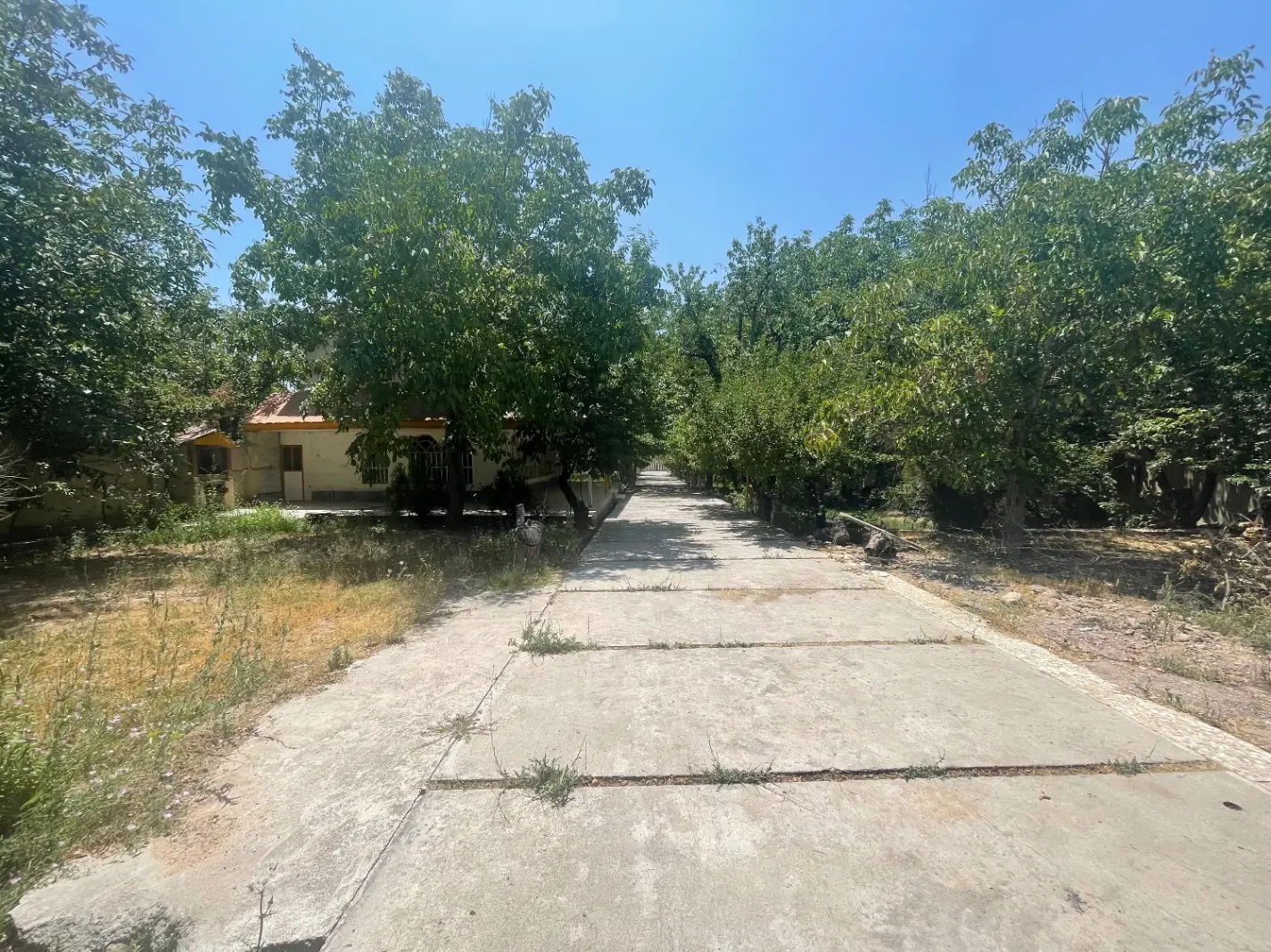زمین سند دار کردان کوهسار
