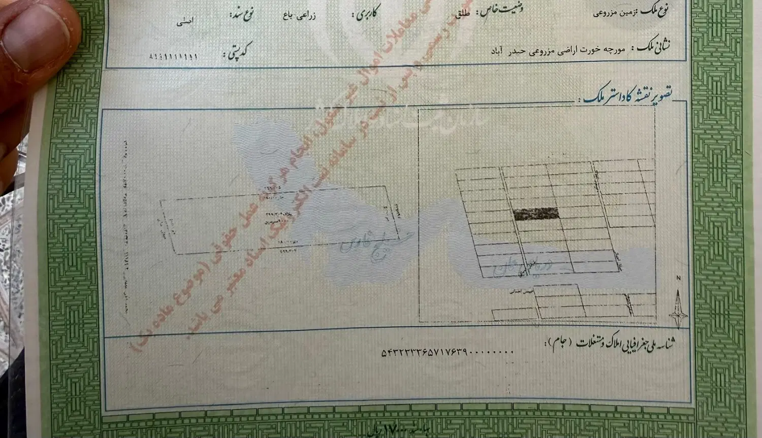 زمین ۲۰۰ متری مورچه خورت سند تک برگ