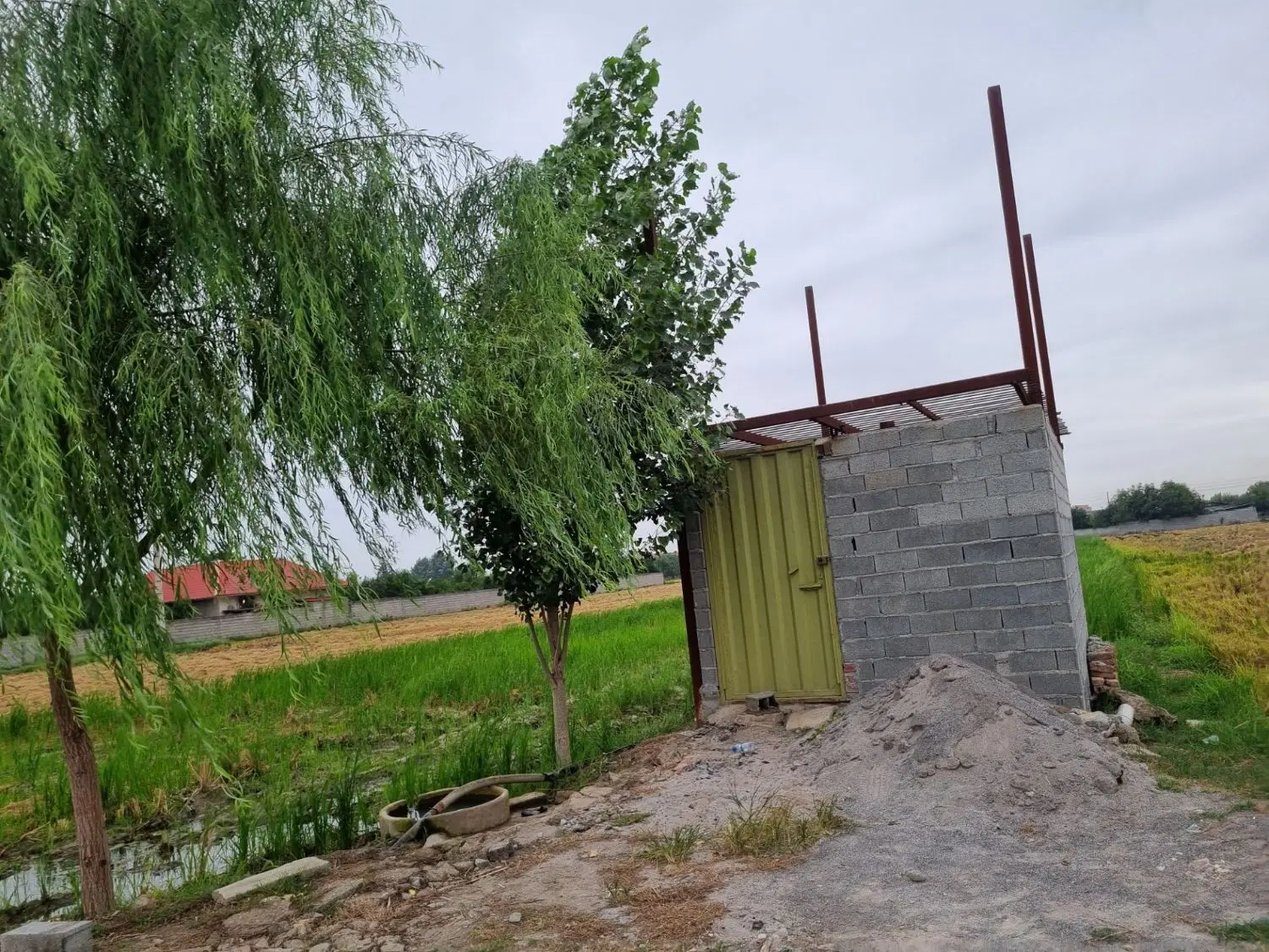 شالیزار دارای برق و چاه آب (تخفیف پای معامله)