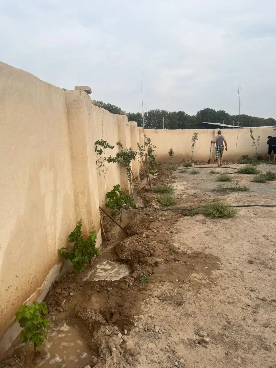 باغچه ۲۷۰ متری نقلی با اب و برق