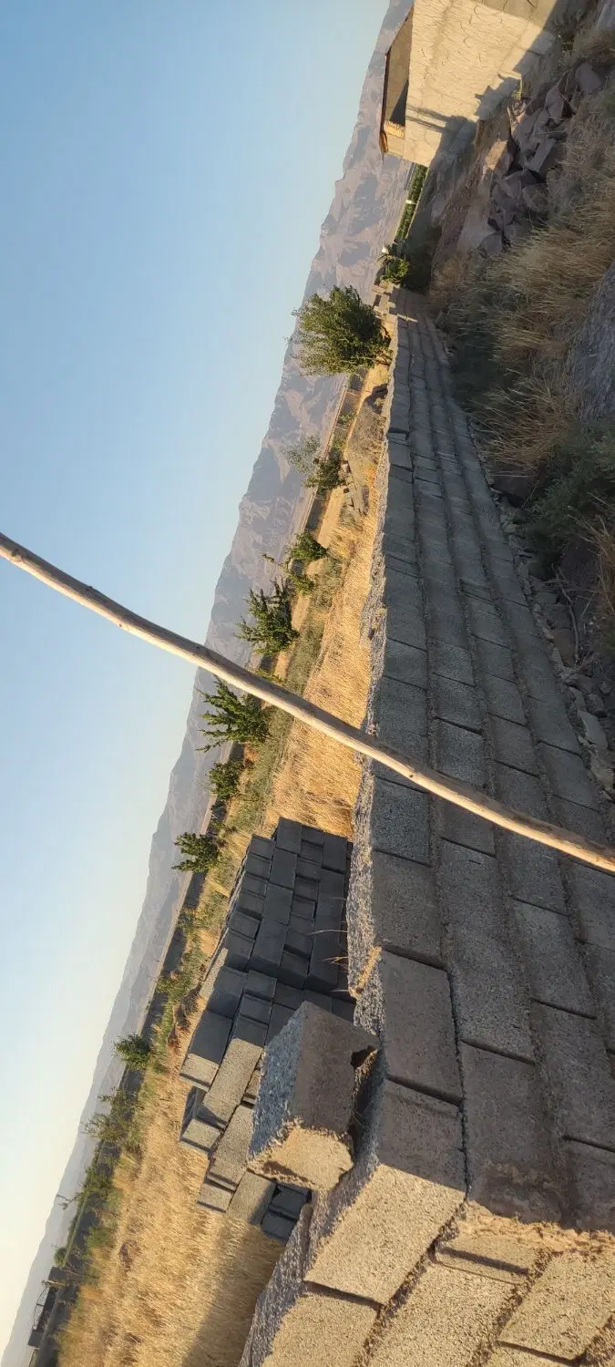 فروش زمین کشاورزی دور دیوار  چناران روستای بگیجان