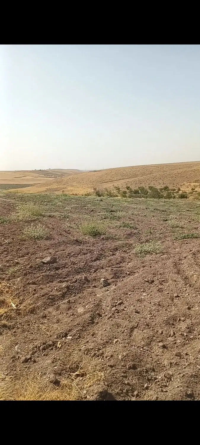 فروش سه هکتار زمین مخصوص کشاورزی ۰ درختکاری و گل