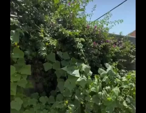 خانه ویلایی ۳۰۰ متر معاوضه،یخسازی،احمدگوراب