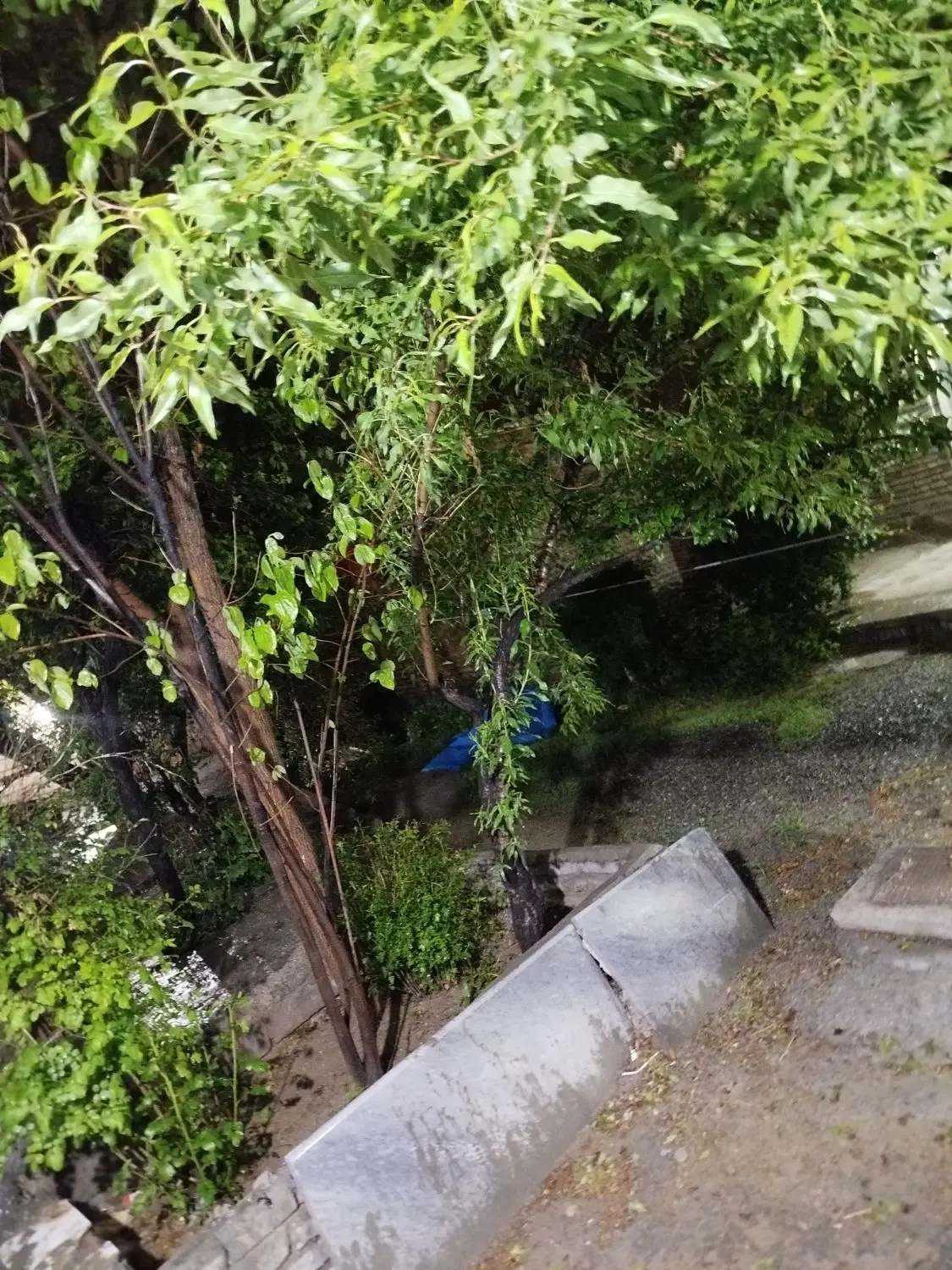 فروش سه خونه داخل حیاط یک جا فروخته میشه