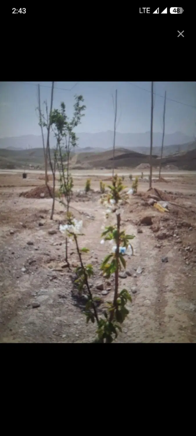 زمین فروشی پردیس