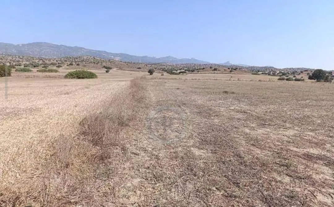 زمین همراه اب و برق دلوار