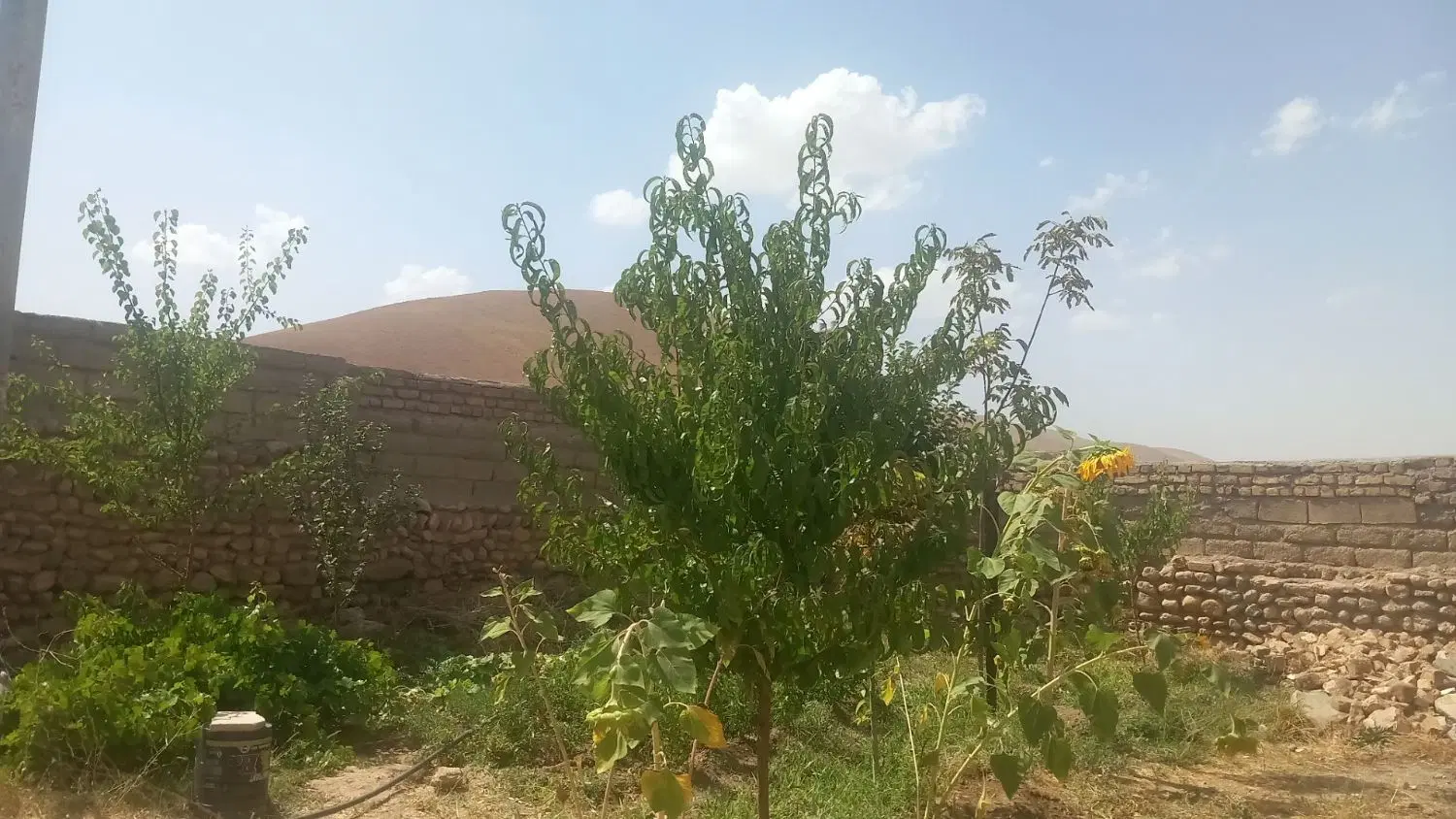 خانه روستایی بر جاده
