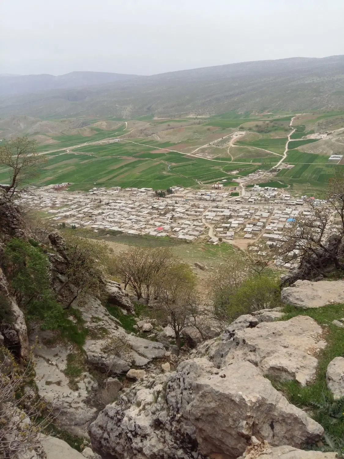 زمین کشاورزی آبی باچاه دربست جهت اجاره