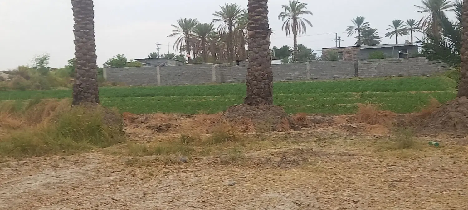 فروش زمین