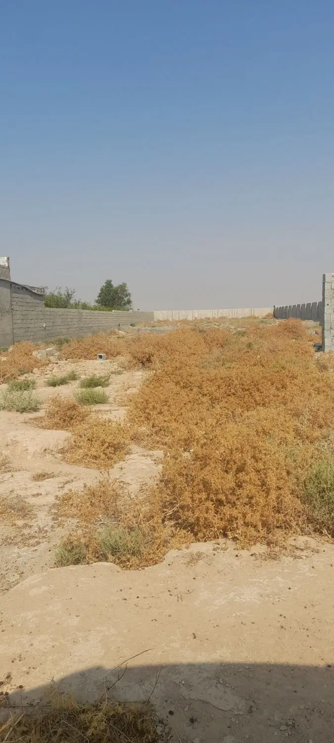زمین محمدصالحی شمال ولات