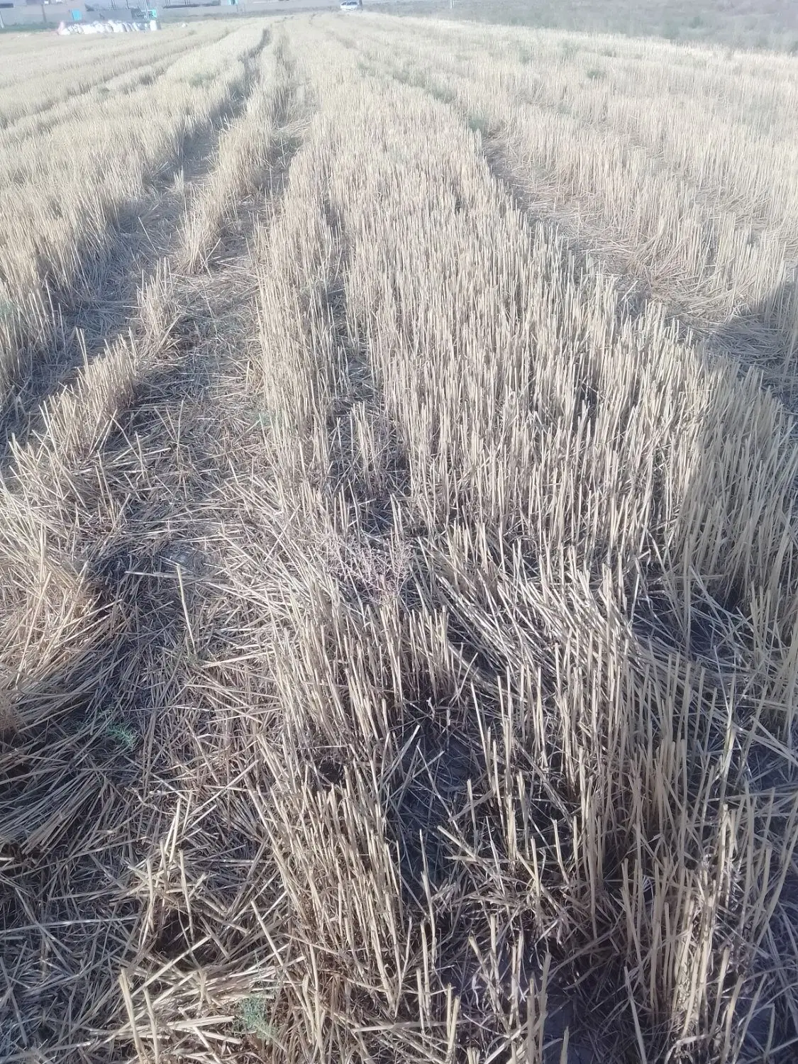 زمین متراژ ۲۴۰۰متر بایک ساعت اب