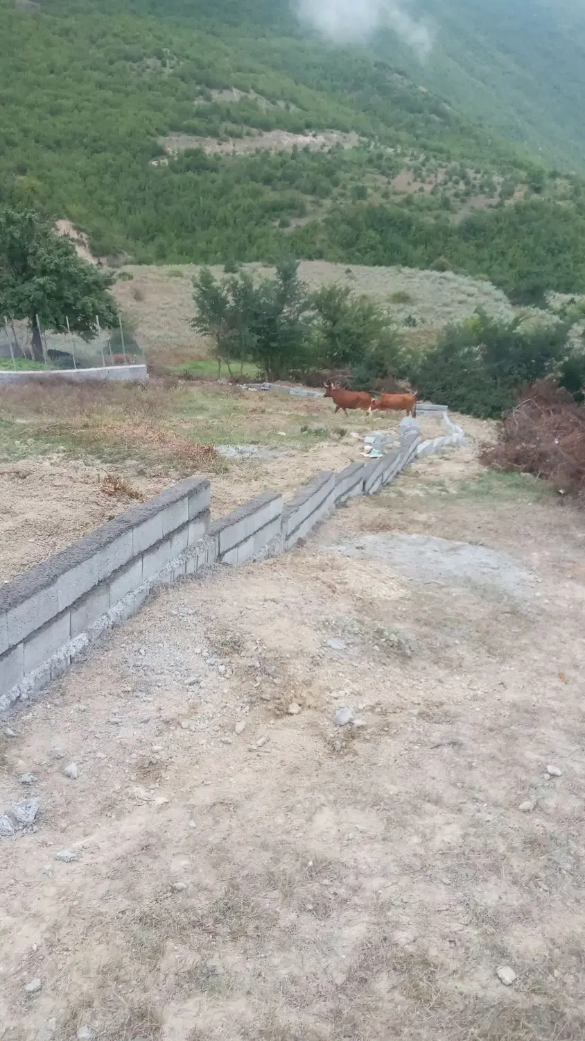 فروش ۵۰۰مترزمین کجوربخش حیرت قابل ساخت سنددار