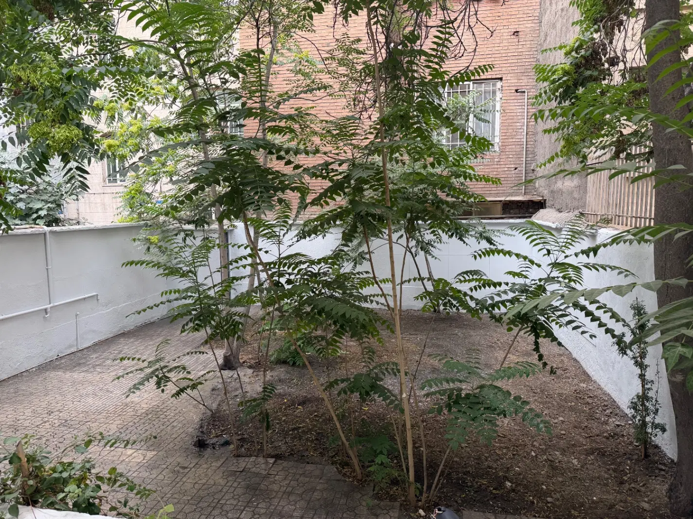 اجاره خاله ویلایی