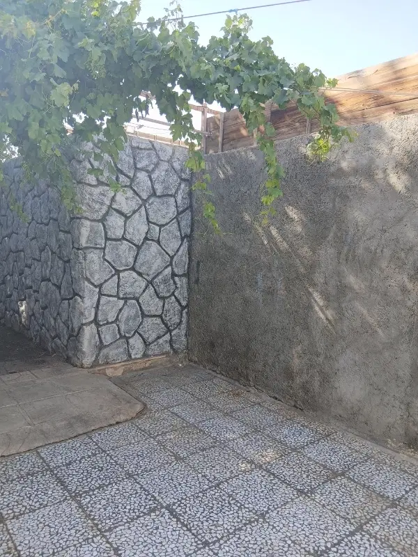کرسگان بر خیابان 200 متر