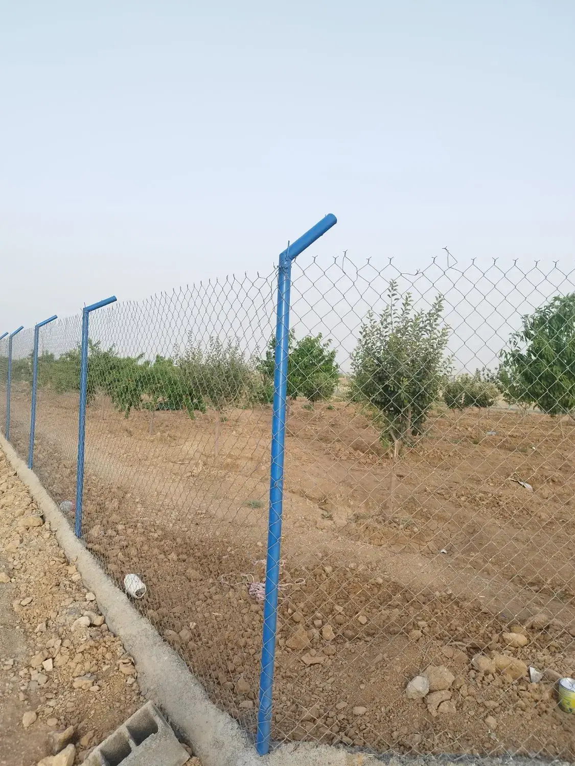 باغ 2500 متری