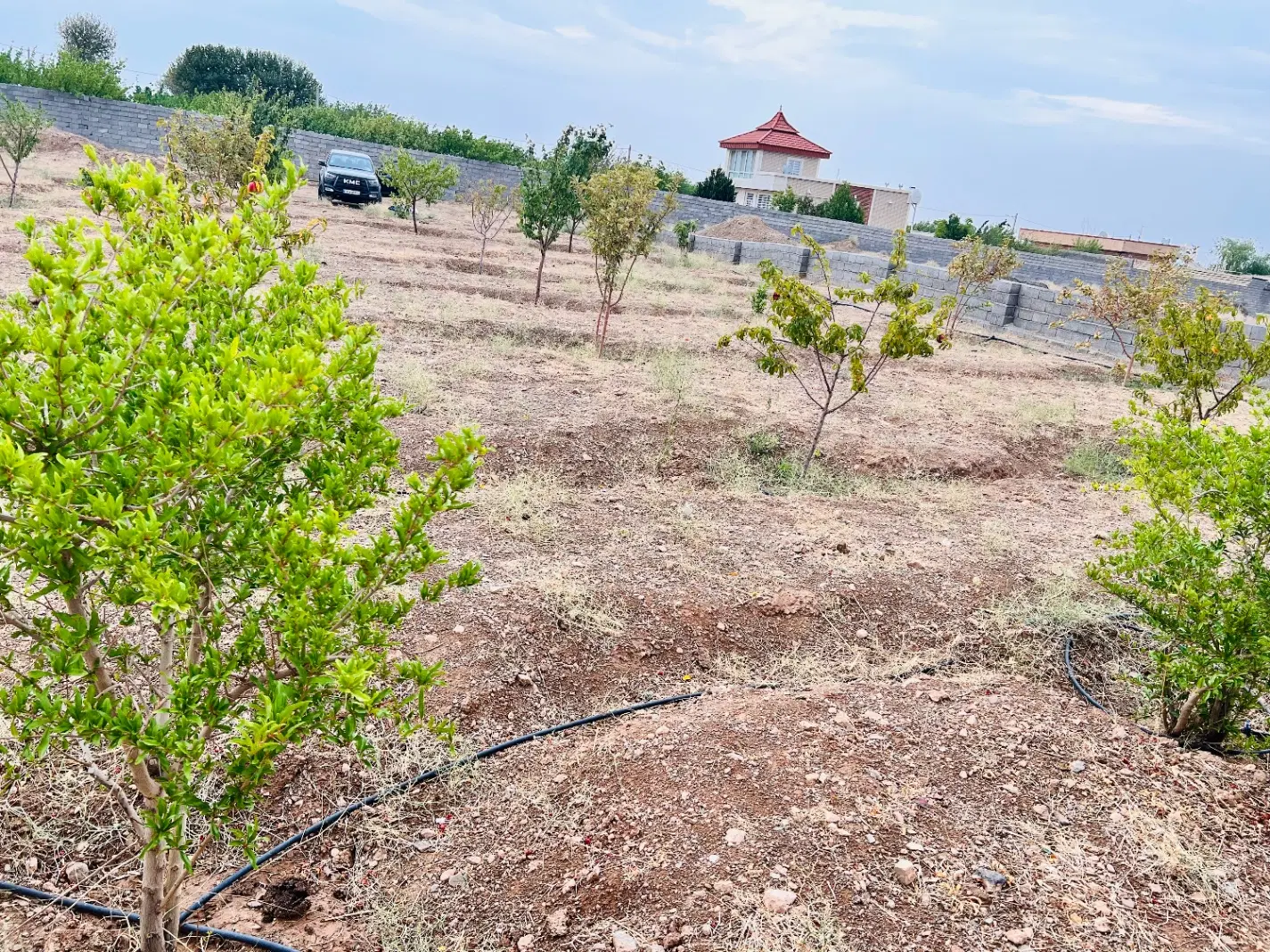 فروش باغ